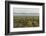 USA, Arizona, Saguaro National Park. Desert Landscape-Cathy & Gordon Illg-Framed Photographic Print