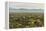 USA, Arizona, Saguaro National Park. Desert Landscape-Cathy & Gordon Illg-Framed Premier Image Canvas