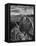 USA, Arizona, Saguaro National Park. Petroglyphs on Signal Hill-Dennis Flaherty-Framed Premier Image Canvas