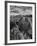 USA, Arizona, Saguaro National Park. Petroglyphs on Signal Hill-Dennis Flaherty-Framed Photographic Print