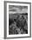 USA, Arizona, Saguaro National Park. Petroglyphs on Signal Hill-Dennis Flaherty-Framed Photographic Print