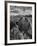 USA, Arizona, Saguaro National Park. Petroglyphs on Signal Hill-Dennis Flaherty-Framed Photographic Print