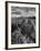 USA, Arizona, Saguaro National Park. Petroglyphs on Signal Hill-Dennis Flaherty-Framed Photographic Print