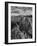 USA, Arizona, Saguaro National Park. Petroglyphs on Signal Hill-Dennis Flaherty-Framed Photographic Print