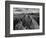 USA, Arizona, Saguaro National Park. Petroglyphs on Signal Hill-Dennis Flaherty-Framed Photographic Print