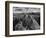 USA, Arizona, Saguaro National Park. Petroglyphs on Signal Hill-Dennis Flaherty-Framed Photographic Print