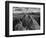 USA, Arizona, Saguaro National Park. Petroglyphs on Signal Hill-Dennis Flaherty-Framed Photographic Print