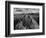 USA, Arizona, Saguaro National Park. Petroglyphs on Signal Hill-Dennis Flaherty-Framed Photographic Print