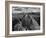 USA, Arizona, Saguaro National Park. Petroglyphs on Signal Hill-Dennis Flaherty-Framed Photographic Print