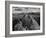 USA, Arizona, Saguaro National Park. Petroglyphs on Signal Hill-Dennis Flaherty-Framed Photographic Print