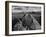 USA, Arizona, Saguaro National Park. Petroglyphs on Signal Hill-Dennis Flaherty-Framed Photographic Print