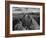 USA, Arizona, Saguaro National Park. Petroglyphs on Signal Hill-Dennis Flaherty-Framed Photographic Print