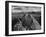 USA, Arizona, Saguaro National Park. Petroglyphs on Signal Hill-Dennis Flaherty-Framed Photographic Print