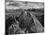 USA, Arizona, Saguaro National Park. Petroglyphs on Signal Hill-Dennis Flaherty-Mounted Photographic Print