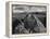 USA, Arizona, Saguaro National Park. Petroglyphs on Signal Hill-Dennis Flaherty-Framed Premier Image Canvas