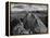 USA, Arizona, Saguaro National Park. Petroglyphs on Signal Hill-Dennis Flaherty-Framed Premier Image Canvas