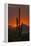 USA, Arizona, Saguaro National Park. Sunset on Desert Landscape-Cathy & Gordon Illg-Framed Premier Image Canvas