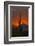 USA, Arizona, Saguaro National Park. Sunset on Desert Landscape-Cathy & Gordon Illg-Framed Photographic Print