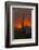 USA, Arizona, Saguaro National Park. Sunset on Desert Landscape-Cathy & Gordon Illg-Framed Photographic Print