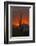 USA, Arizona, Saguaro National Park. Sunset on Desert Landscape-Cathy & Gordon Illg-Framed Photographic Print