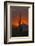 USA, Arizona, Saguaro National Park. Sunset on Desert Landscape-Cathy & Gordon Illg-Framed Photographic Print