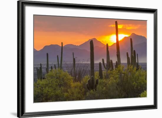 USA, Arizona, Saguaro National Park. Sunset on Desert Landscape-Cathy & Gordon Illg-Framed Photographic Print