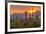 USA, Arizona, Saguaro National Park. Sunset on Desert Landscape-Cathy & Gordon Illg-Framed Photographic Print