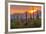 USA, Arizona, Saguaro National Park. Sunset on Desert Landscape-Cathy & Gordon Illg-Framed Photographic Print