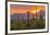 USA, Arizona, Saguaro National Park. Sunset on Desert Landscape-Cathy & Gordon Illg-Framed Photographic Print