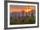 USA, Arizona, Saguaro National Park. Sunset on Desert Landscape-Cathy & Gordon Illg-Framed Photographic Print