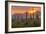 USA, Arizona, Saguaro National Park. Sunset on Desert Landscape-Cathy & Gordon Illg-Framed Photographic Print