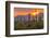 USA, Arizona, Saguaro National Park. Sunset on Desert Landscape-Cathy & Gordon Illg-Framed Photographic Print