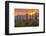 USA, Arizona, Saguaro National Park. Sunset on Desert Landscape-Cathy & Gordon Illg-Framed Photographic Print