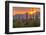 USA, Arizona, Saguaro National Park. Sunset on Desert Landscape-Cathy & Gordon Illg-Framed Photographic Print