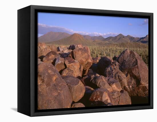 USA, Arizona, Saguaro National Park, Tucson Mountain District-John Barger-Framed Premier Image Canvas