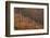 USA, Arizona, Saguaro National Park, Tucson Mountain District-John Barger-Framed Photographic Print