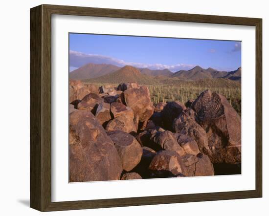 USA, Arizona, Saguaro National Park, Tucson Mountain District-John Barger-Framed Photographic Print