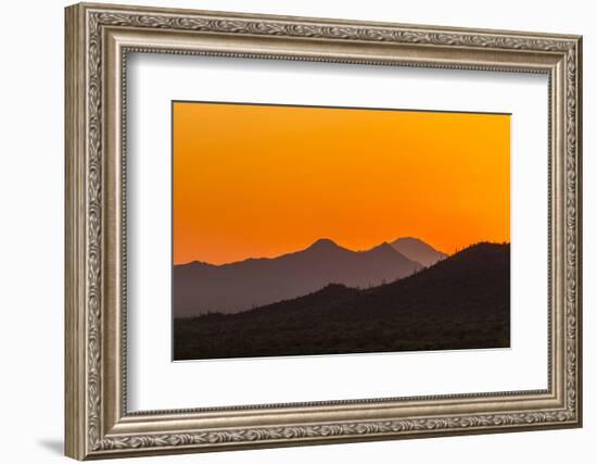 USA, Arizona, Saguaro National Park. Tucson Mountains at Sunset-Cathy & Gordon Illg-Framed Photographic Print