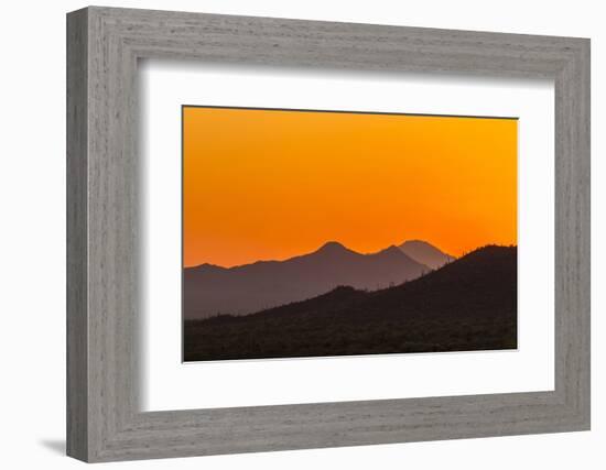 USA, Arizona, Saguaro National Park. Tucson Mountains at Sunset-Cathy & Gordon Illg-Framed Photographic Print