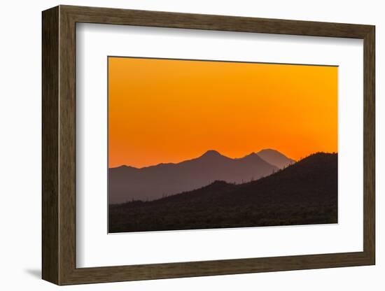 USA, Arizona, Saguaro National Park. Tucson Mountains at Sunset-Cathy & Gordon Illg-Framed Photographic Print
