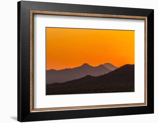 USA, Arizona, Saguaro National Park. Tucson Mountains at Sunset-Cathy & Gordon Illg-Framed Photographic Print