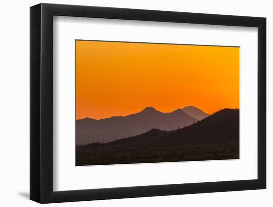 USA, Arizona, Saguaro National Park. Tucson Mountains at Sunset-Cathy & Gordon Illg-Framed Photographic Print