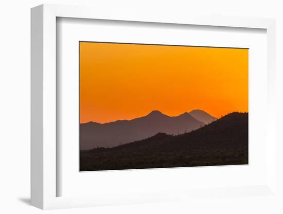 USA, Arizona, Saguaro National Park. Tucson Mountains at Sunset-Cathy & Gordon Illg-Framed Photographic Print