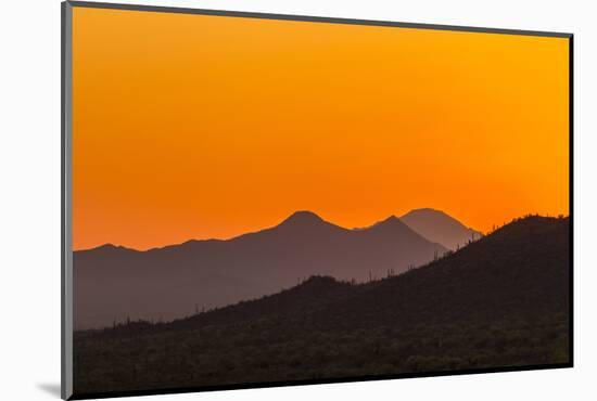 USA, Arizona, Saguaro National Park. Tucson Mountains at Sunset-Cathy & Gordon Illg-Mounted Photographic Print