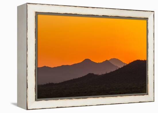 USA, Arizona, Saguaro National Park. Tucson Mountains at Sunset-Cathy & Gordon Illg-Framed Premier Image Canvas