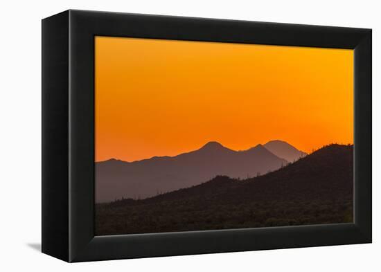 USA, Arizona, Saguaro National Park. Tucson Mountains at Sunset-Cathy & Gordon Illg-Framed Premier Image Canvas