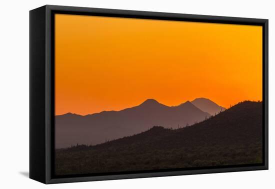 USA, Arizona, Saguaro National Park. Tucson Mountains at Sunset-Cathy & Gordon Illg-Framed Premier Image Canvas