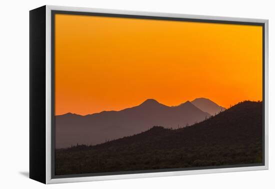 USA, Arizona, Saguaro National Park. Tucson Mountains at Sunset-Cathy & Gordon Illg-Framed Premier Image Canvas