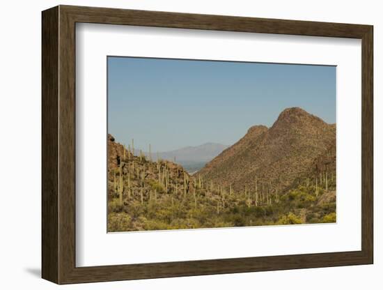 USA, Arizona, Saguaro National Park. Valley in Desert Landscape-Cathy & Gordon Illg-Framed Photographic Print