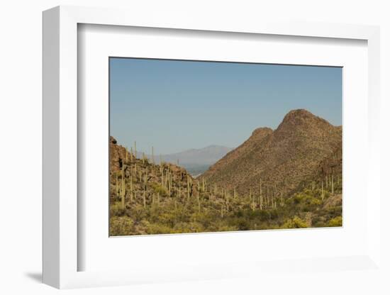 USA, Arizona, Saguaro National Park. Valley in Desert Landscape-Cathy & Gordon Illg-Framed Photographic Print